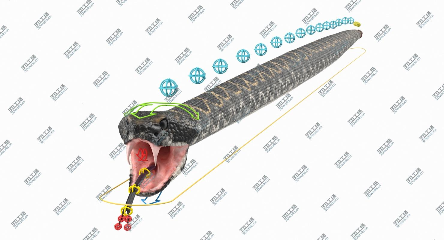 images/goods_img/20210319/Giant Dark Rattlesnake Rigged 3D model/4.jpg